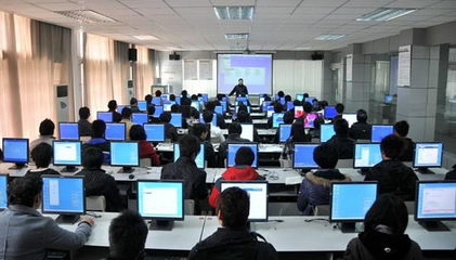 計算機科學(xué)與技術(shù)(網(wǎng)絡(luò)教育專升本科專業(yè))